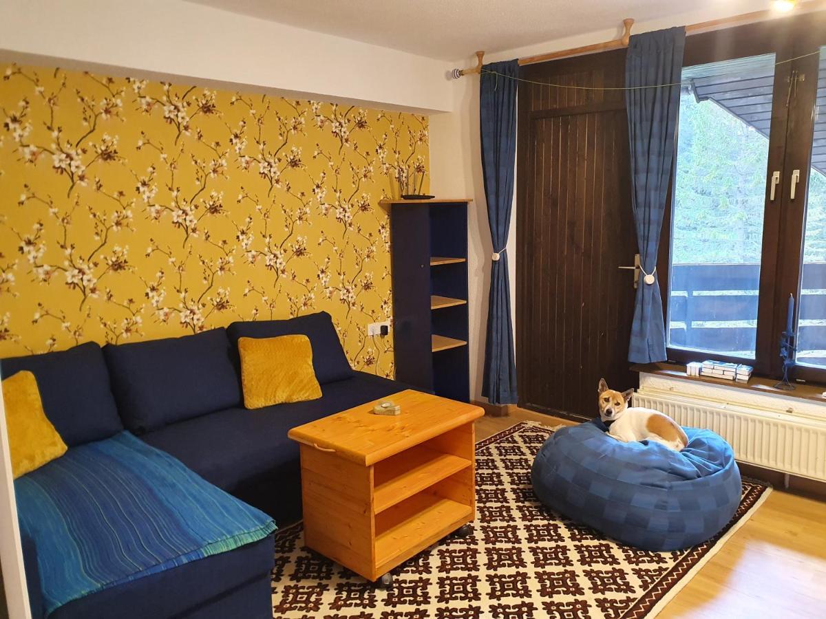 M & M Apartment Krvavec سيركلجي نا جورينجسكيم المظهر الخارجي الصورة