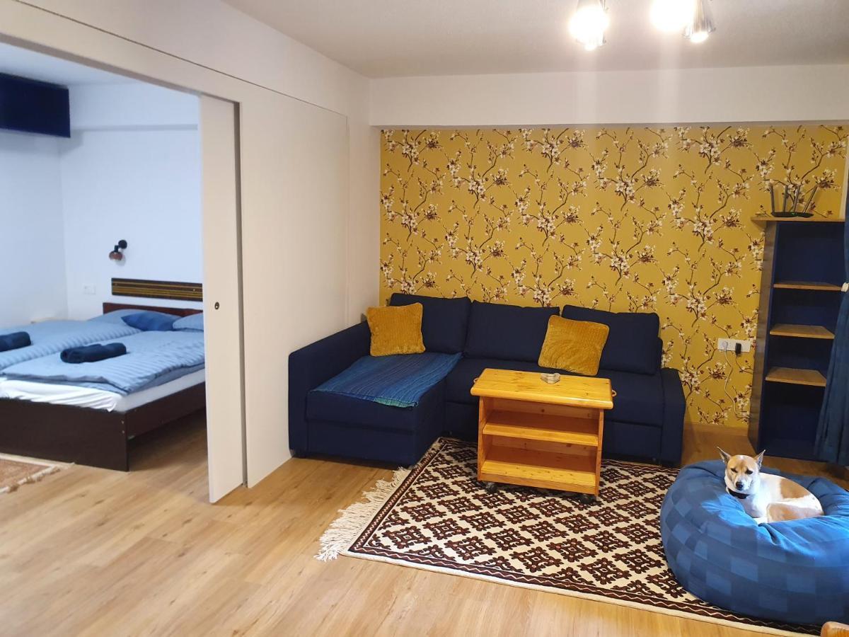 M & M Apartment Krvavec سيركلجي نا جورينجسكيم المظهر الخارجي الصورة